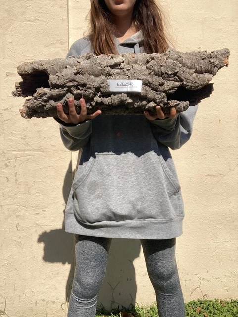 Extra Large Long Cork "ROUND" - #2548 - for Reptiles, Airplants, Orchids