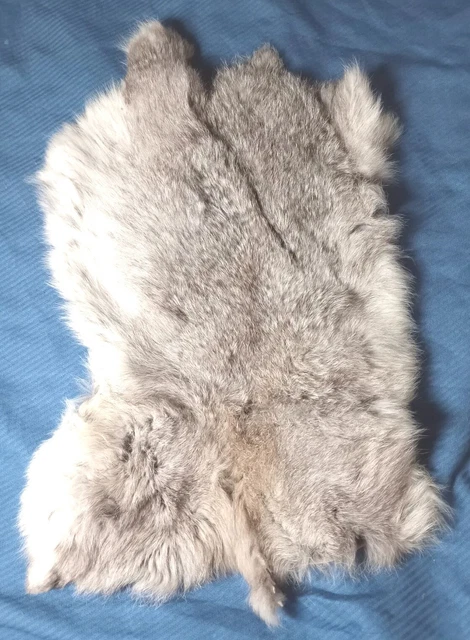 Gray Rabbit Skin Fur Pelt Real Fur Pelts for Animal Training Garment Gray Rabbit Skin Fur Pelt Real Fur Pelts for Animal Training Garment
