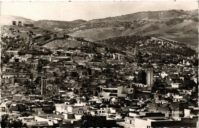 CPA AK MAROC FES - Vue sur la MEDINA et le Meremides (219303)