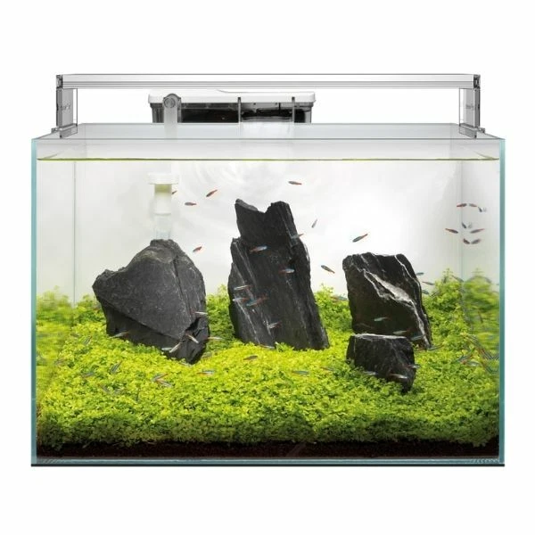 Superfish Scaper Aquarium Freshwater Crystal Clear Fish Tank Aquascape Planting
