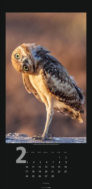 EULEN KALENDER 2025 Kalender Spiralbindung 14 S. Deutsch 2025