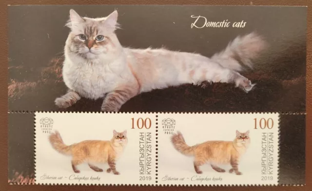 Kyrgystan 2019 / Domestic Cats - Siberian cat  / block of 2