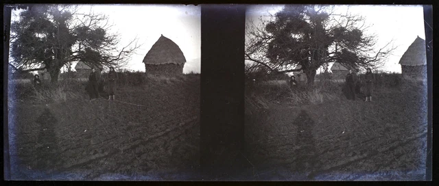 Meule Paysage Famille c1930 Photo NEGATIVE Plaque de verre Stereo Vintage 