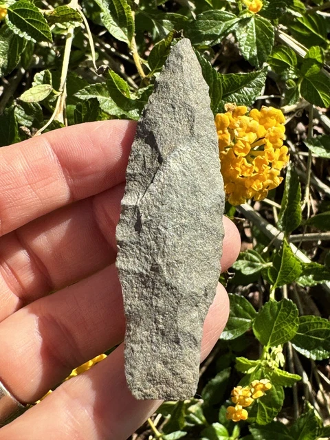 3" Bare Island projectile point (Lancaster Co, Pennsylvania arrowhead)