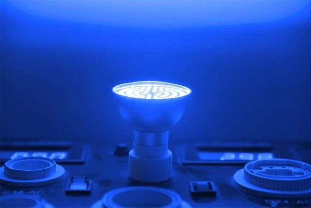 DoRight GU10 Blue LED Spotlight Bulbs 5W MR16 2 Count (Pack of 1), 3