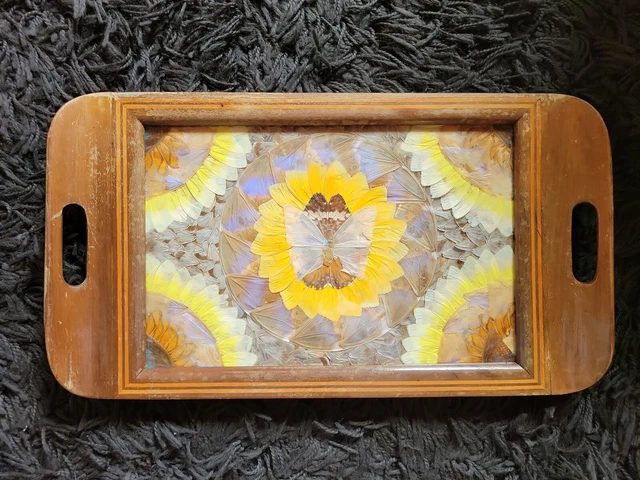 Plateau vintage brésilien marqueté Morpho ailes de papillon, 1930