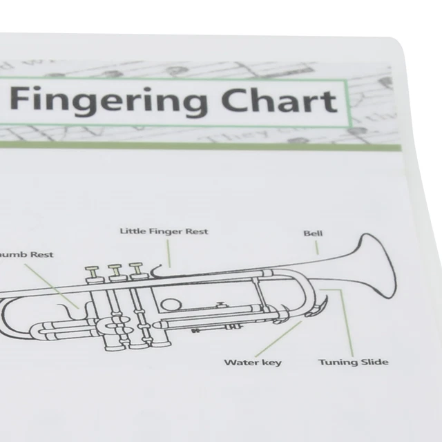 Trumpet Chord Chart Fingering Note Music Instrument Reference Guide For Home Cla