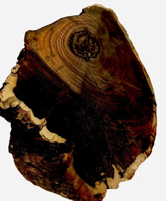 HIERRO DEL DESIERTO ARIZONA Madera, Tazones, Artesanías, Tallado en Madera, Girar Blancos HIERRO DEL DESIERTO ARIZONA Madera, Tazones, Artesanías, Tallado en Madera, Girar Blancos