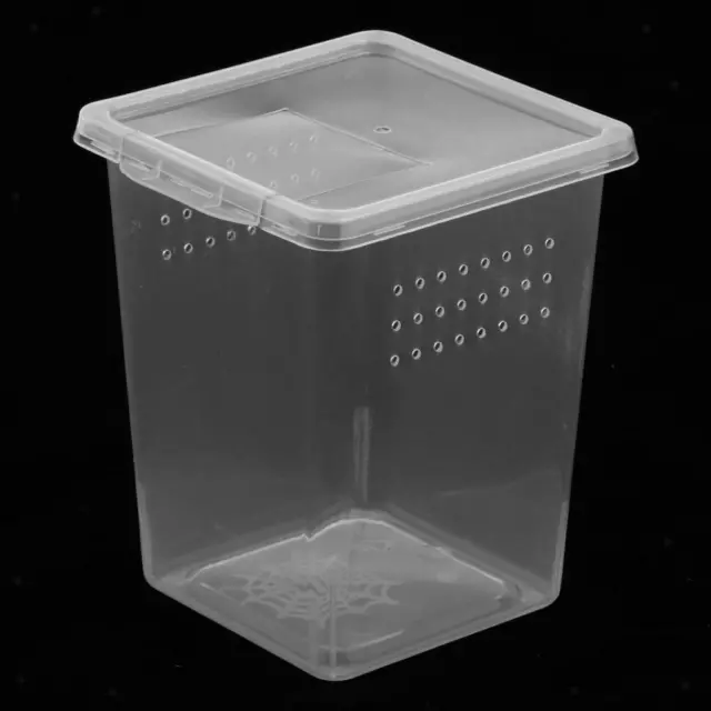 Clear Plastic Reptile Insect Spider Habitat Feeding Box Container 8x8x11cm