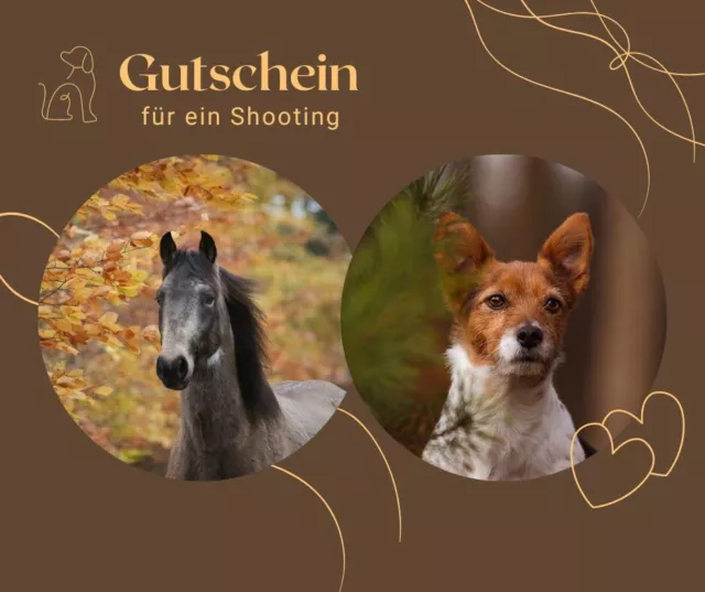 Gutschein für ein Fotoshooting mit deinem Haustier