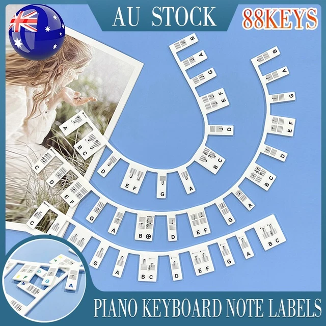 REMOVABLE PIANO KEYBOARD Note Labels Reusable Silicone Stickers 88 Keys ...