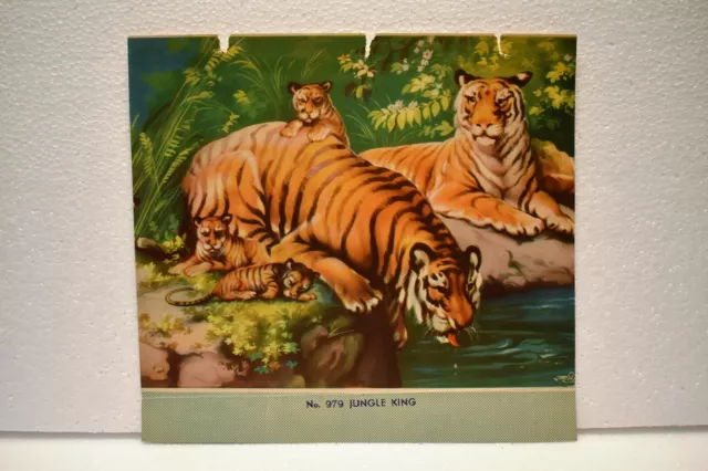 Vintage Lithographie Imprimé Tigre Cub Whelp Famille The King De Jungle Objets "