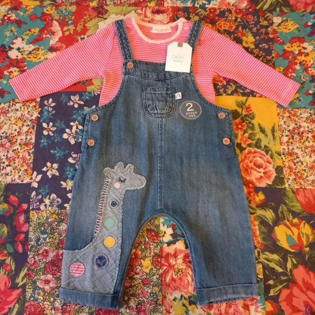 Next Upto 3M Bnwt Baby Girls Giraffe Denim Dungarees & Pink Top New With Tag