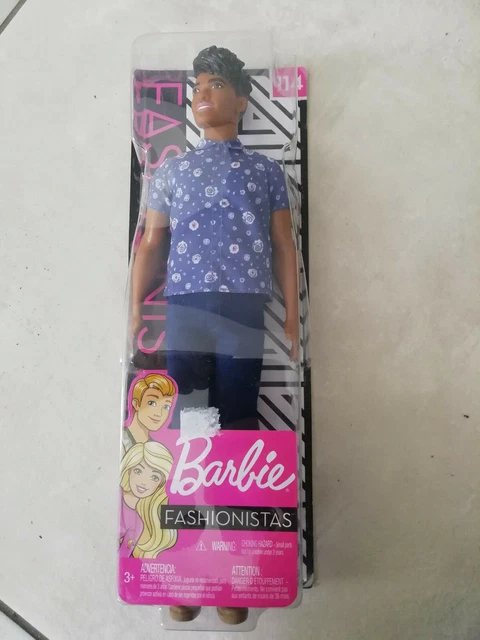 Poupée Ken, Barbie Fashionistas