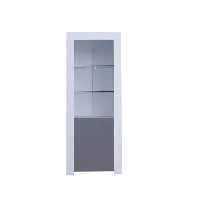 High Gloss Tall Display Cabinet with LED Light Transparent Glass Front Sideboard