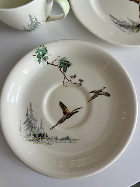 Royal Doulton  “ The Coppice “ Tea Cup, Saucer & Plate Trio 3