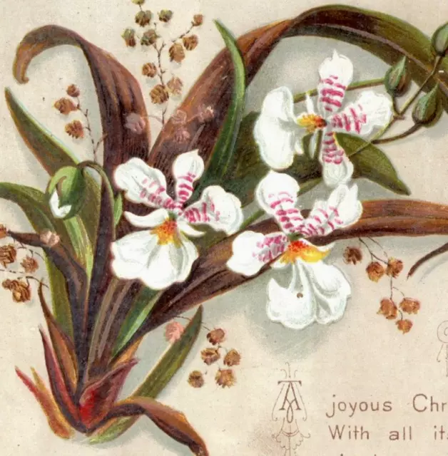 1880s Victorian Christmas Compliments Of The Season Card Orchid #K