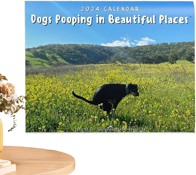 DOG POOPING CALENDAR 2024 Pooping Pets 2024 Calendar, Dog Pooping