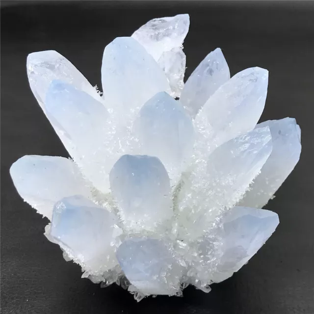 410G New Find blue Phantom Quartz Crystal Cluster Mineral Specimen Healing