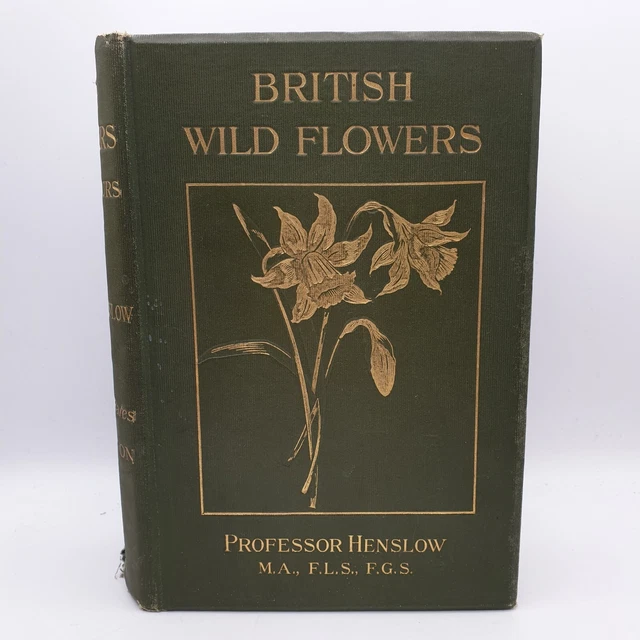BRITISH WILD FLOWERS by Professor Henslow Antique Hardback 1910 58.