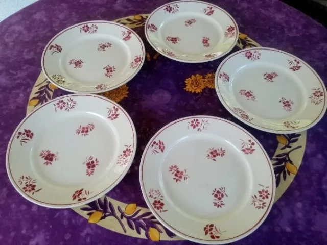 5 Assiettes Plates anciennes Demi Porcelaine Badonviller Décor Floral Rouge