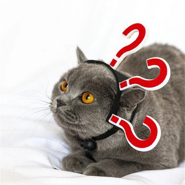 Copricapo gatto gattino cani gatto copricapo fascia di Halloween forniture per feste