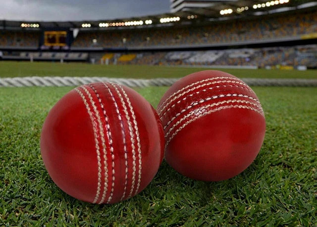 Balle de cricket en cuir de cricket de qualité supérieure de qualité...