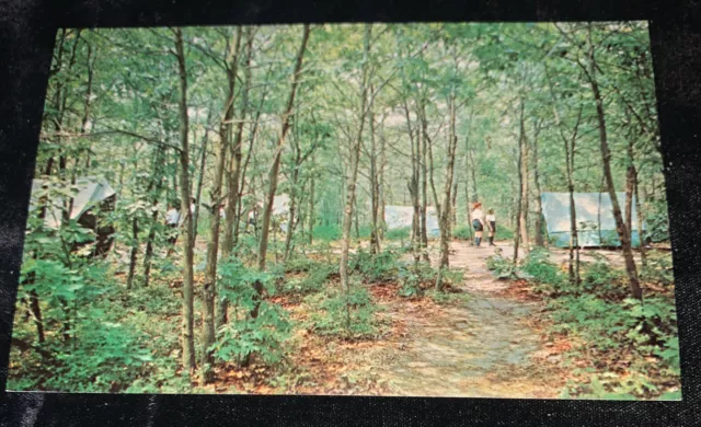 Bayport , Long Island NY Girl Scout Camp Edey 1950/60s Postcard Tents Camping