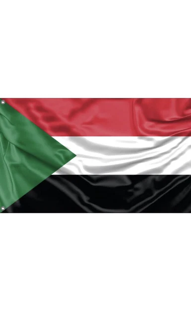 Bandiera Palestina 150x90 Cm AZ FLAG - In Poliestere Leggero, Per Interni Ed Esterni - Foto 8