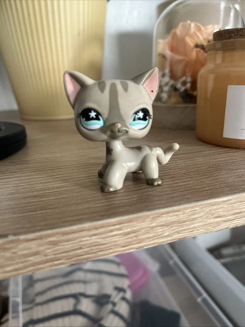 LPS PETSHOP CHAT européen #64 EUR 10,00 - FR