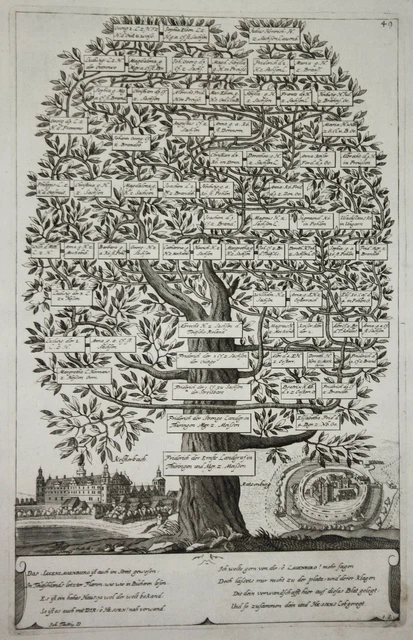 Wolfenburg/Kelsterbach Ratzeburg Vista Incisione Ceder-Baum Albero Genealogico