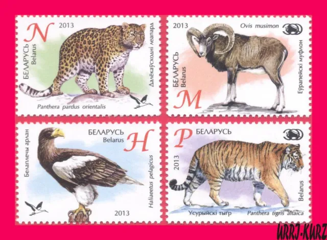 BELARUS 2013 Nature Fauna Wild Animals Bird Tiger Eagle Leopard Mouflon 4v MNH