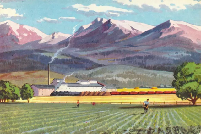 Colorado CO Union Pacific Railroad Series No 3 Vtg Postcard Agriculture Farming