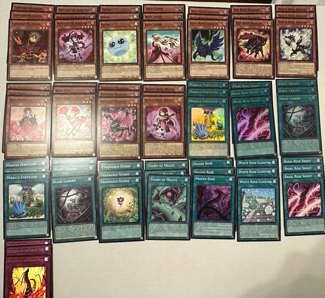 DRAGON PLANT DECK - Black Rose Dragon- Debris Dragon - NM - 43 Cards -  Yugioh $29.95 - PicClick