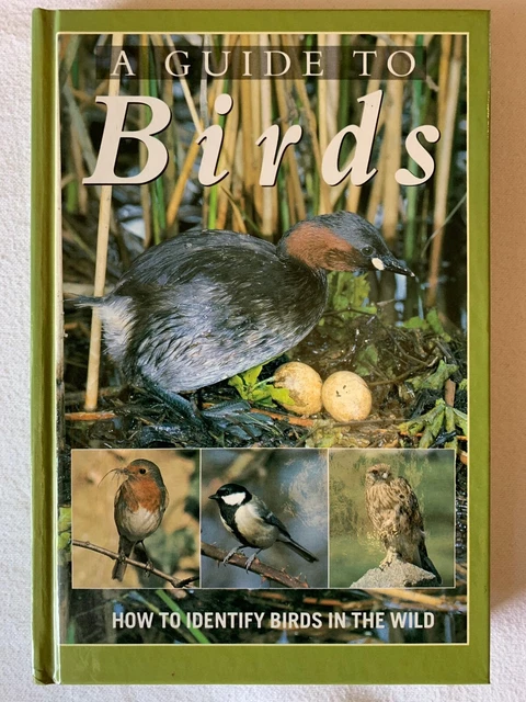 A GUIDE TO Birds - How To Identify Birds In The Wild By Karel Hudec £8. ...