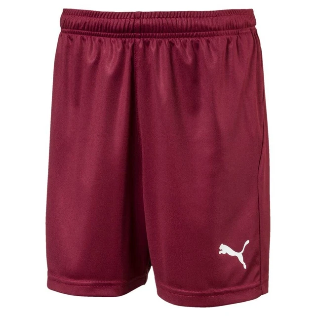 PUMA Unisex Liga Core Shorts Youth, Cordovan/White, X-Large