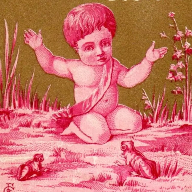 c1890 James C. Davis & Son Golden Crown Soap Trade Card Cherub Cupid Frogs Bog