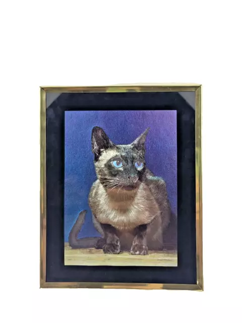 "Vintage Siamese Cat Print in Elegant Blue Metallic Gold Frame  Dolan's Sports