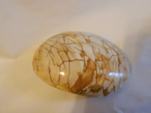 Clam Shell Fossil Polished Unique Pattern Large 8.1 Oz. Madagascar