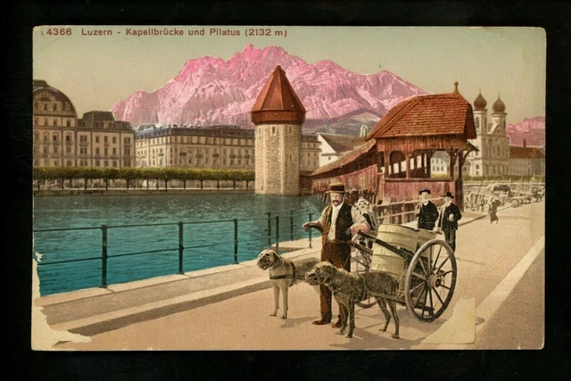 Dog Carts postcard dogs pulling barrels Canada Luzern 4366 Vintage
