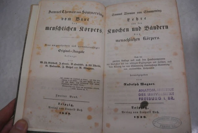 LEHRE VON DEN Knochen und Bändern des menschlichen Körpers. Vom Baue