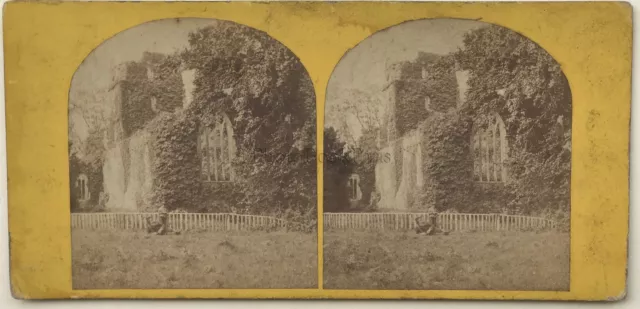 Killarney Irland Muckross Abbey Foto Vintage Stereo Albumin