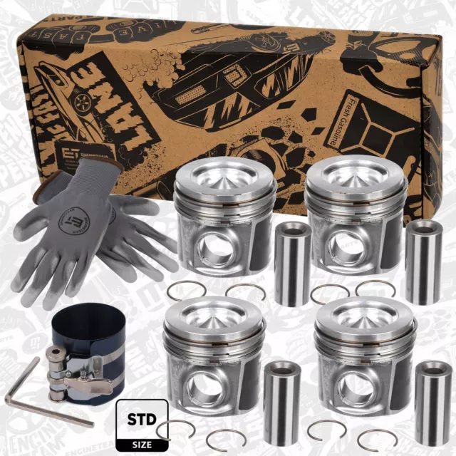 Set de Pistons pour Iveco Std 2,3 500055511 F1AFL411A F1AFL411B F1AFL411C