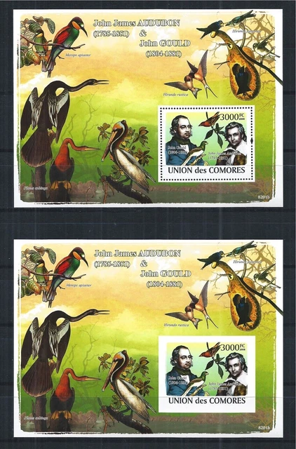 Comores Comoros 2008 Block A+B Fauna Flora Birds Audubon Gould