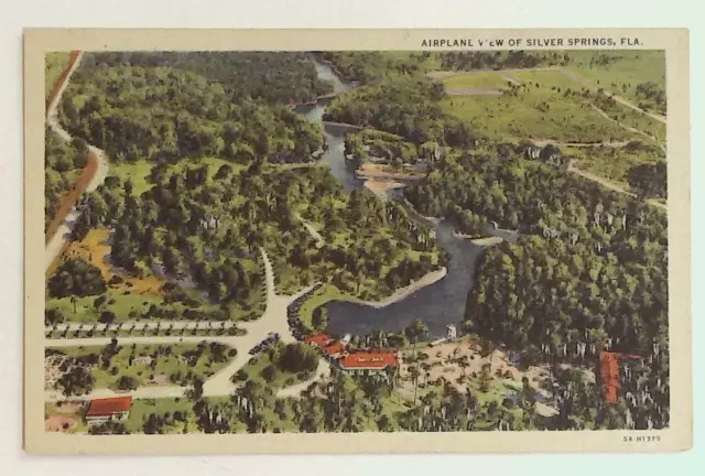 Airplane view of Silver Springs, Florida FL Fla Postcard vintage l