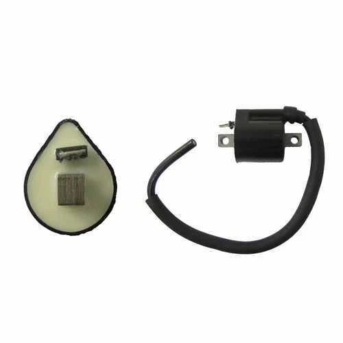 Ignition Coil 6v 12v CDI Single 1 Spade Fits Quadzilla Buzz 2K 13-14