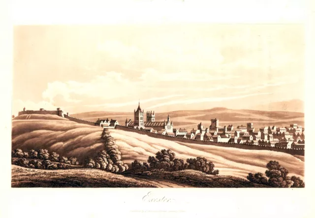 1821 Antique Aquatint print EXESTER Exeter Devon (TOC5)