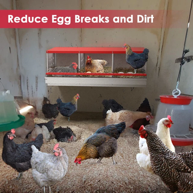Chicken Nesting Box Hen Laying Nest Boxes 3 Hole Rollout Egg Collection Metal US