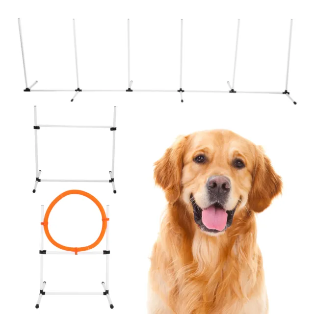 Attrezzatura per addestramento agilità animale domestico cane barra regolabile salto ostacolo palo cerchio frutta fst