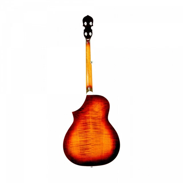 Gold Tone Dojo Deluxe - Dojo électroacoustique (+étui) 2